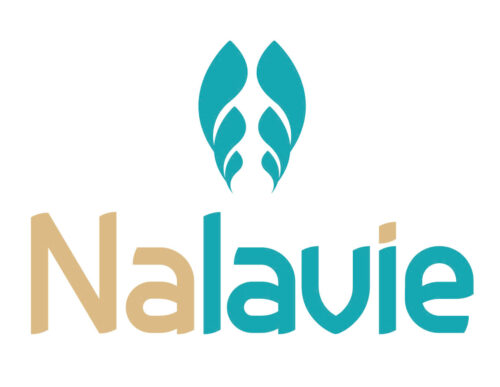 a6b87a5b0c62b13ce873